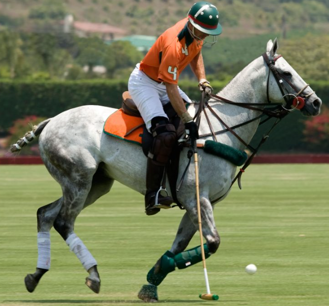 Man playing Polo