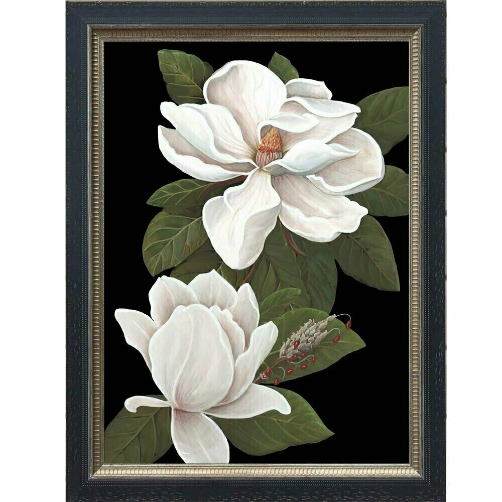 Black Botanical Magnolia "5"