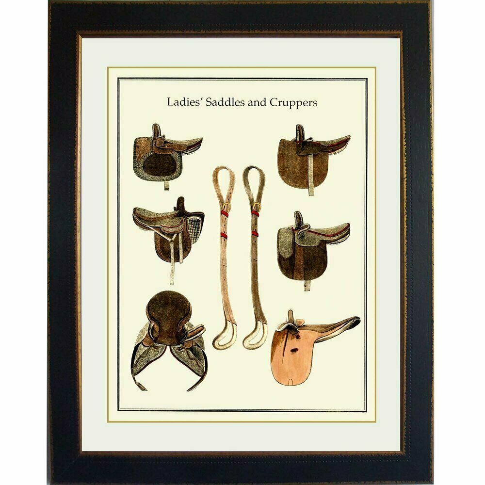 Ladies Saddles Art Print Framed