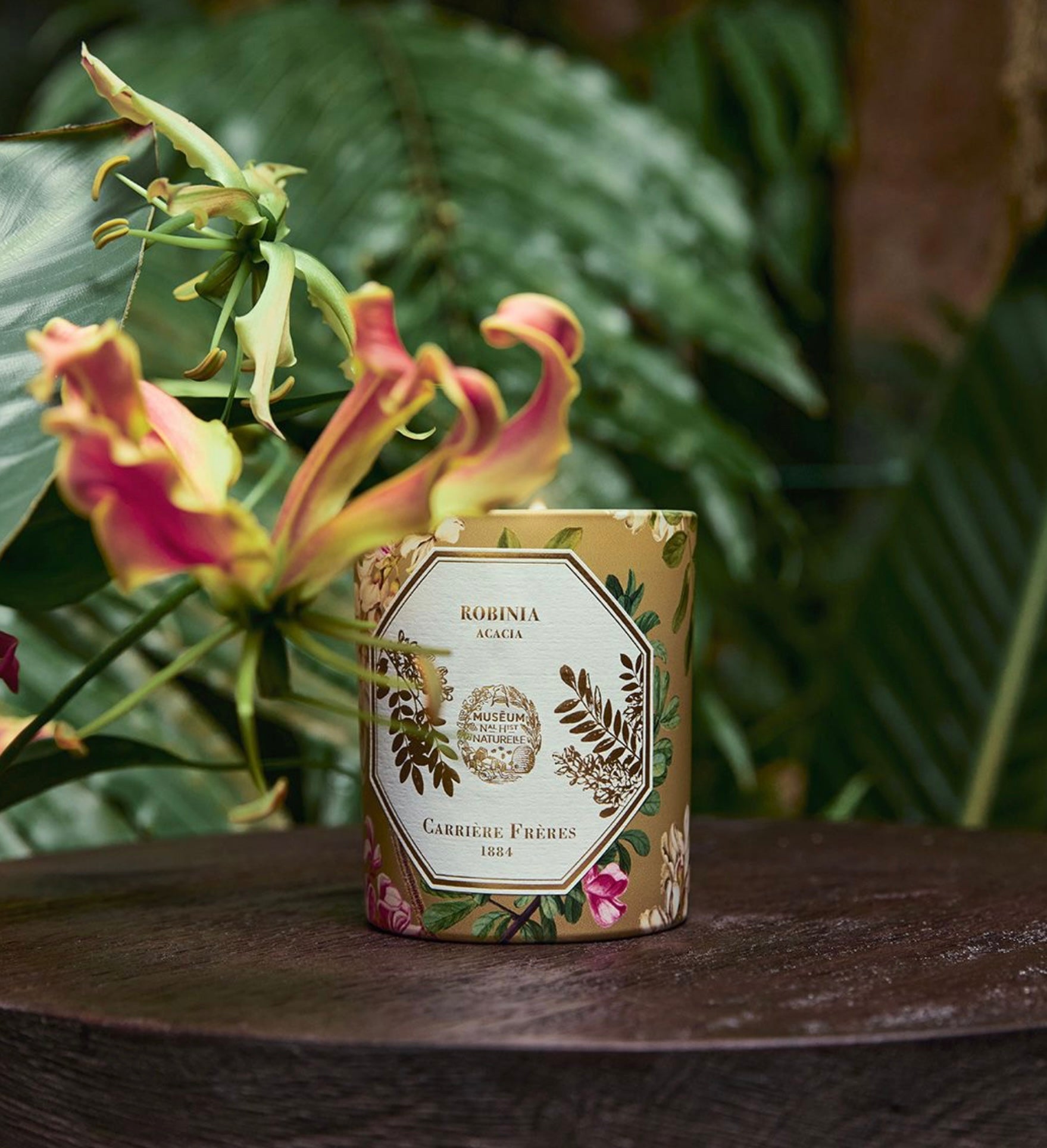 Carriere Freres Museum Acacia Candle