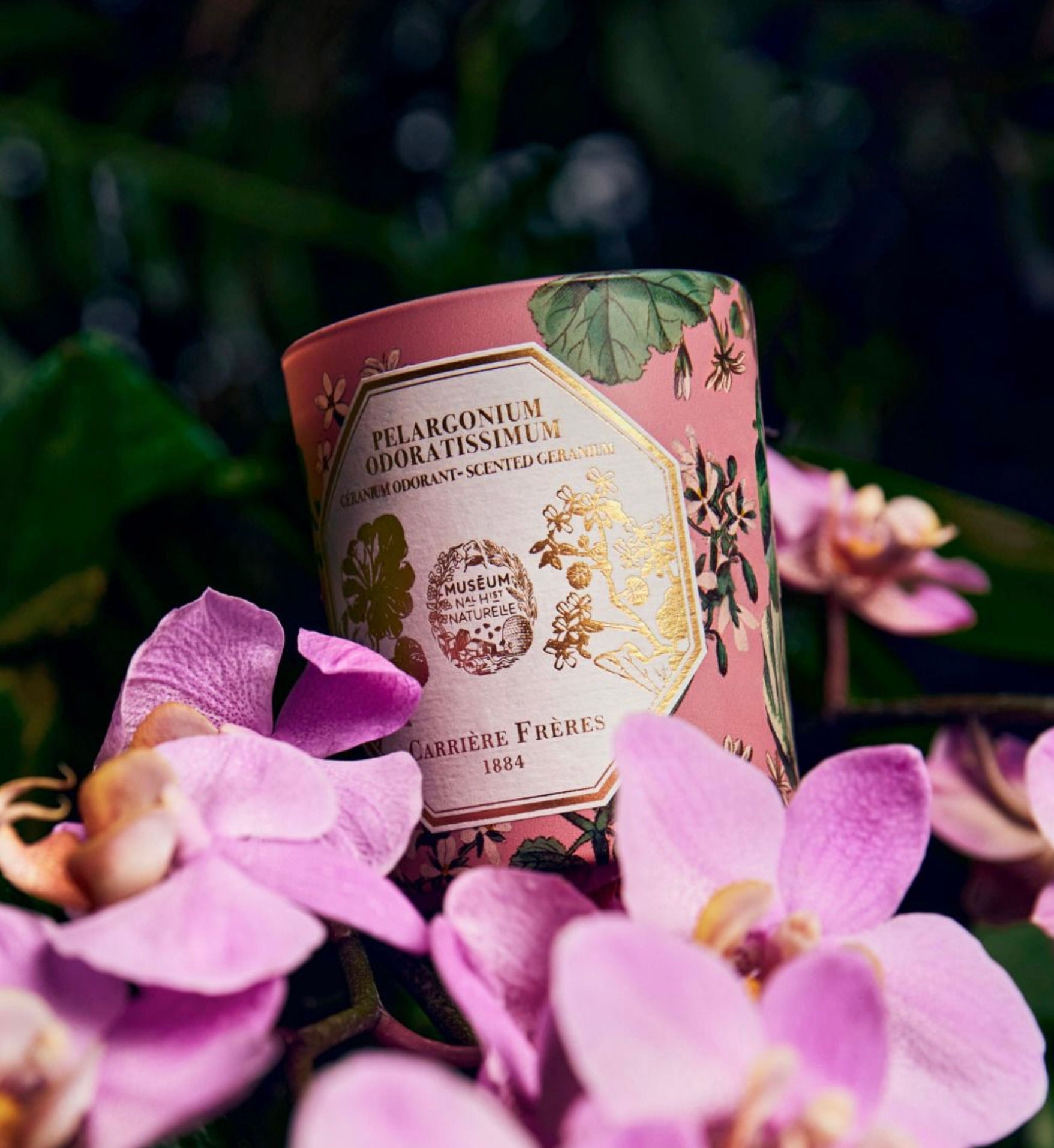 Carriere Freres Museum Geranium Candle