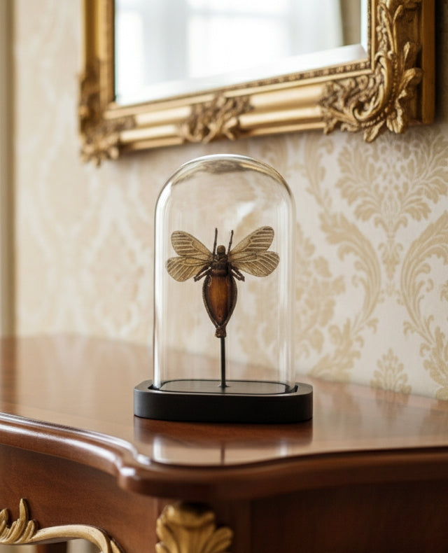 Honey Bee Cloche SQ 16cm