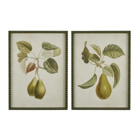Pyrus Framed Glass Print - Set of 2 (Sold as a pair)