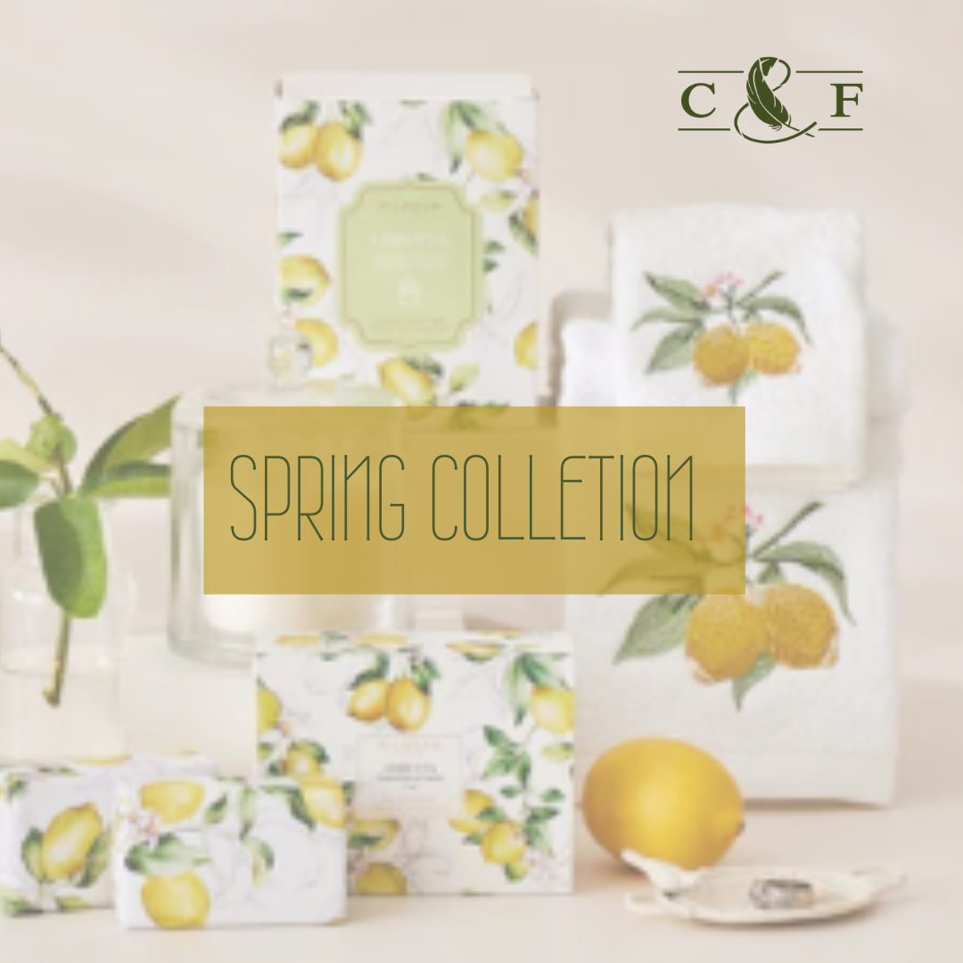 Spring Collection 2024