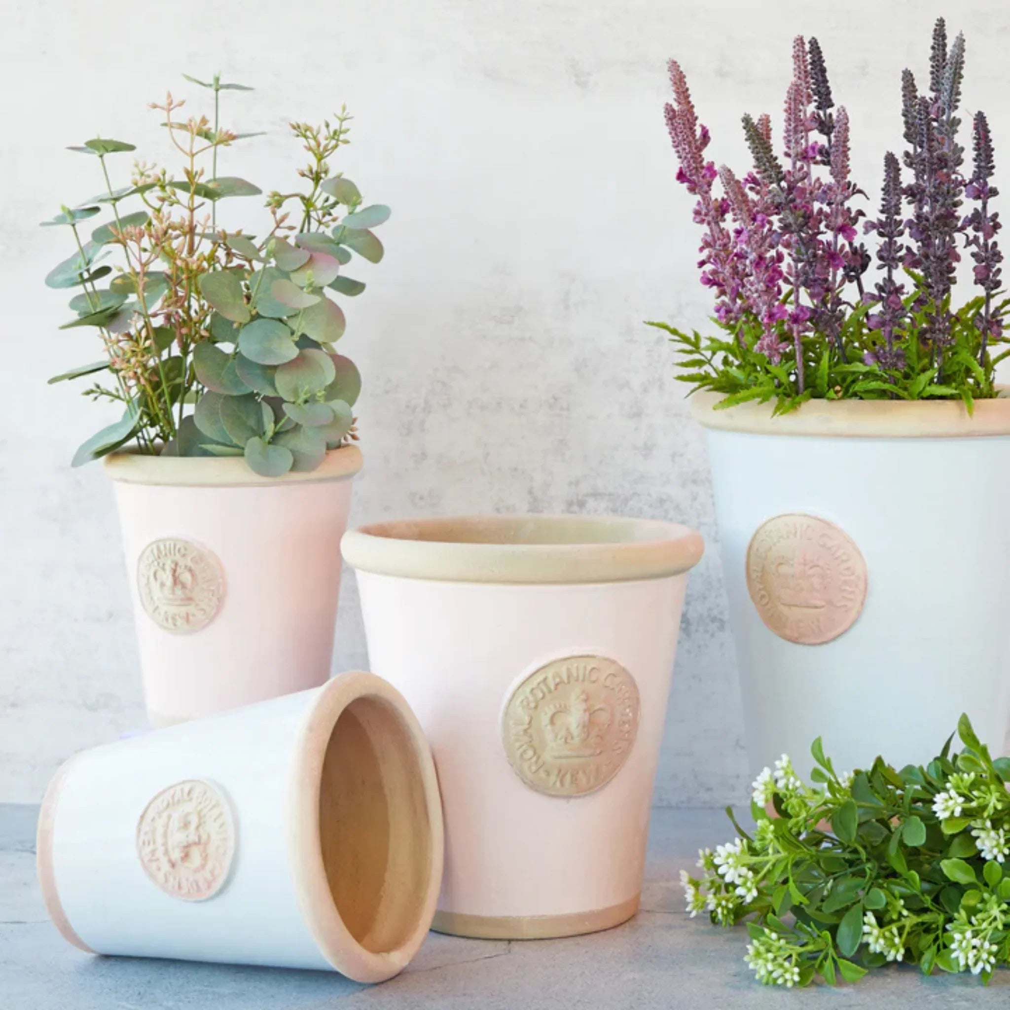 Royal Botanic Garden Kew Planters