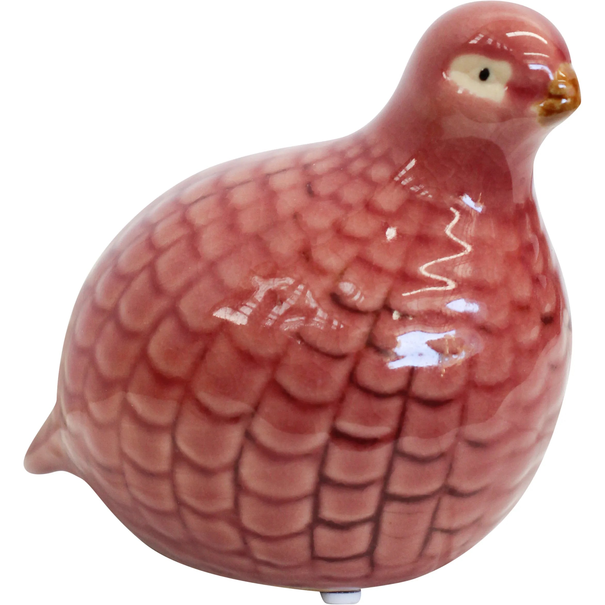 Guinea Quail Peach