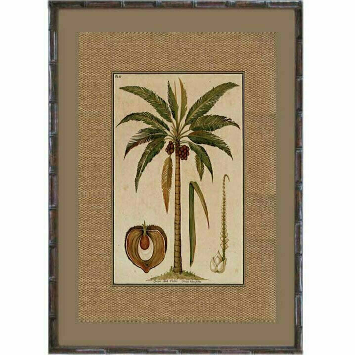 Cocoa Palm Rattan Art Print