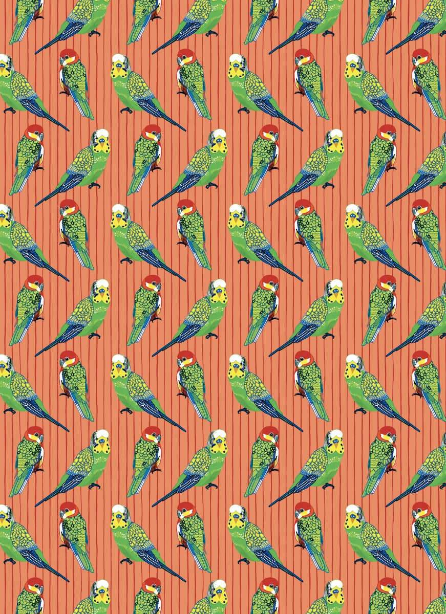Birds & Bugs Wrapping Paper Book