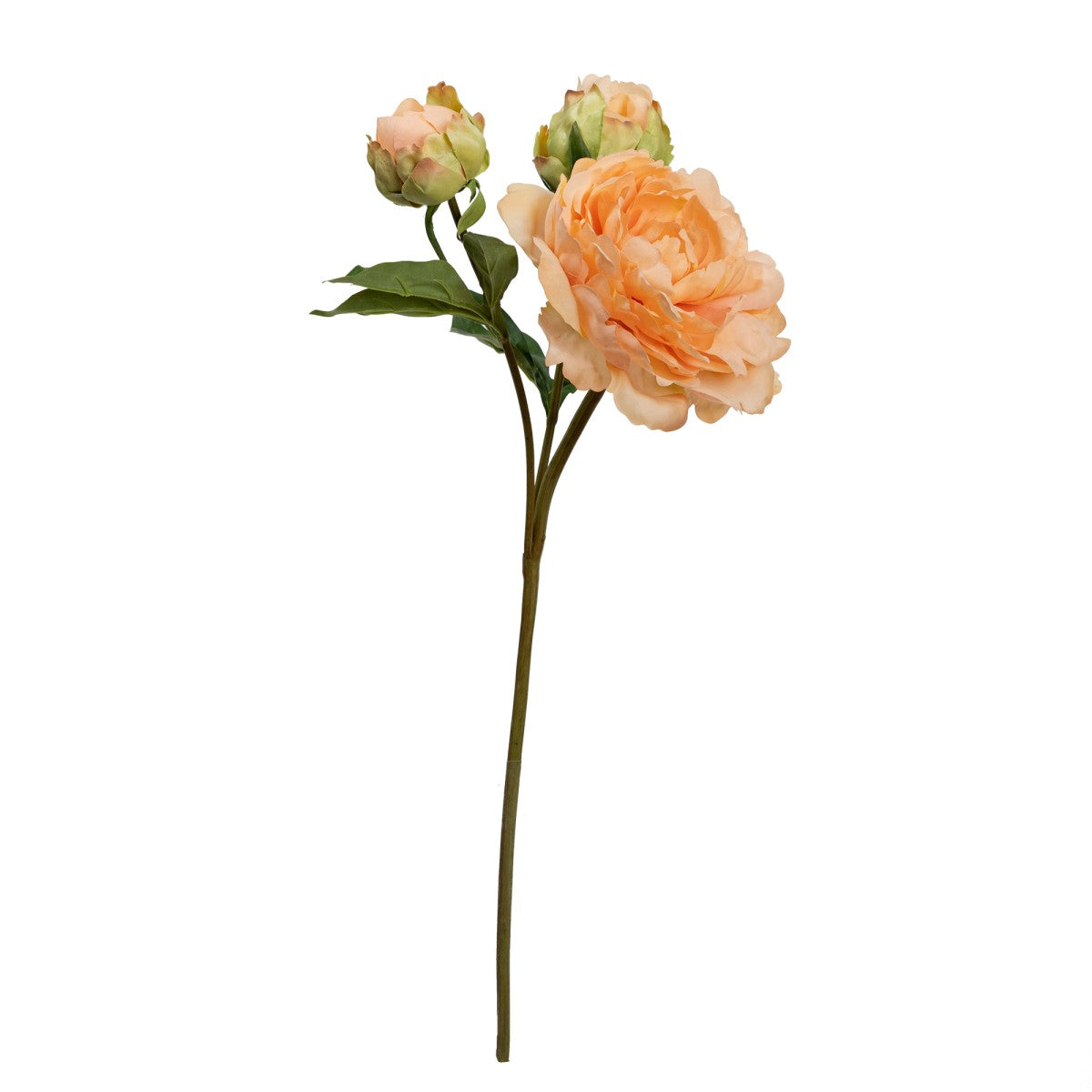 Peony With Bud Peach 50cm
