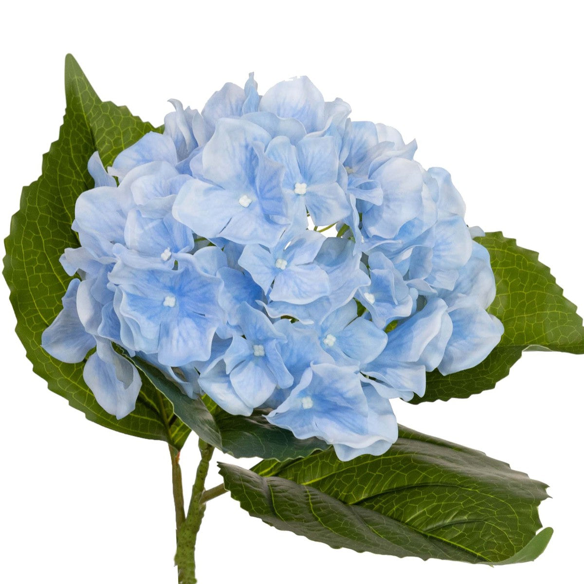 Hydrangea Stem Blue 63cm