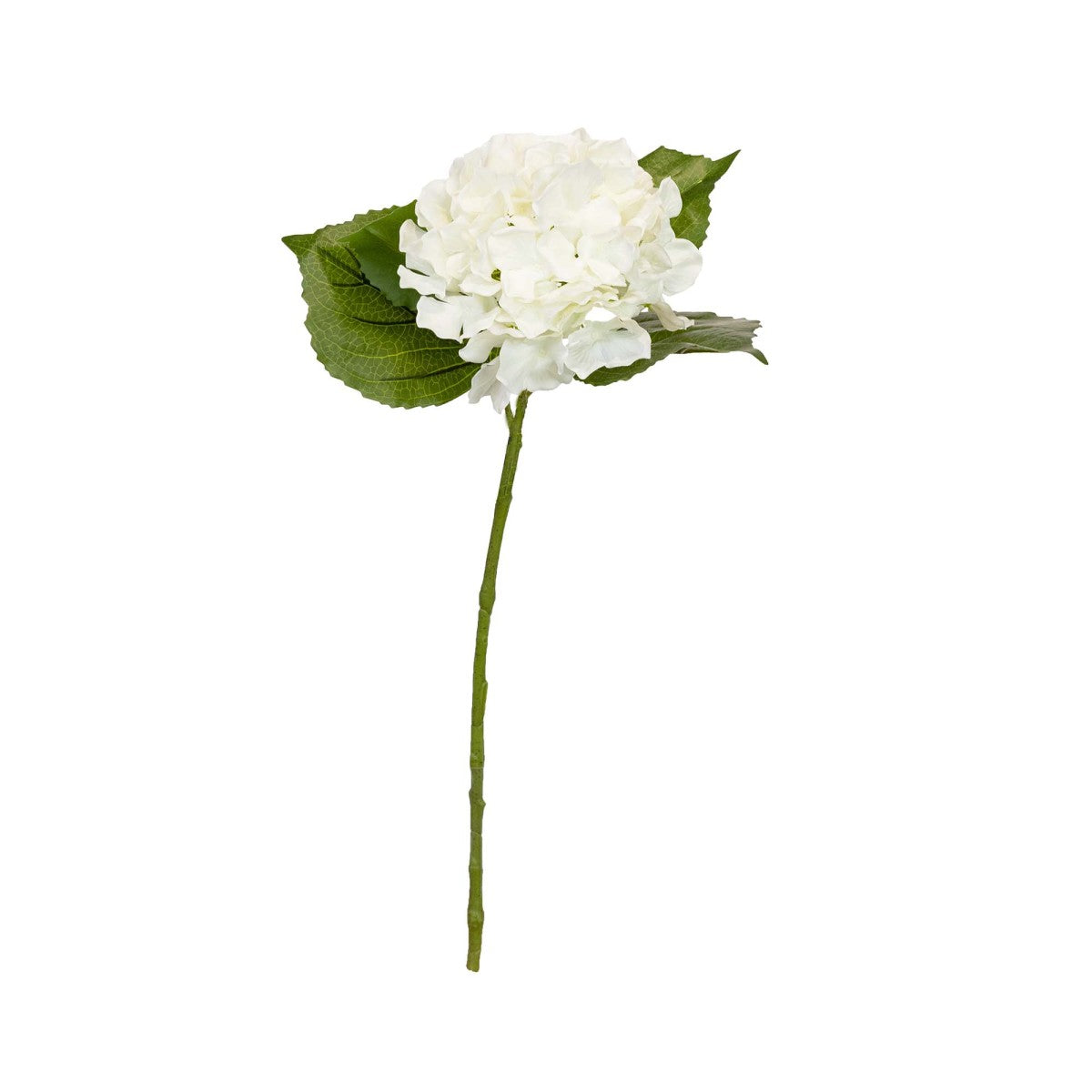 Hydrangea Stem White 63cm