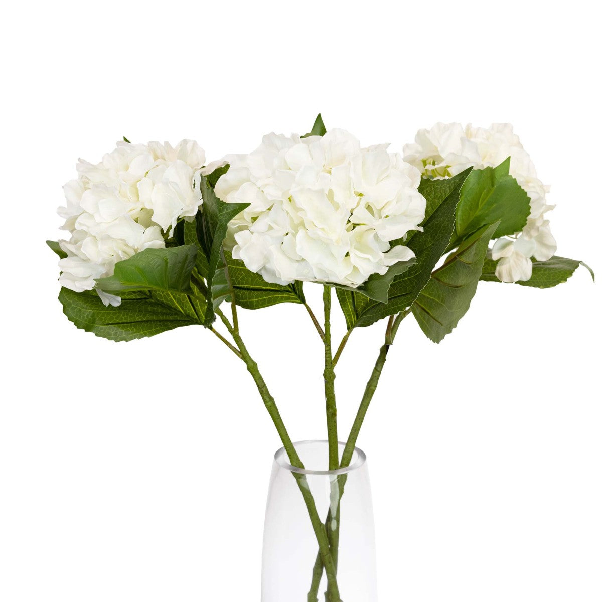 Hydrangea Stem White 63cm