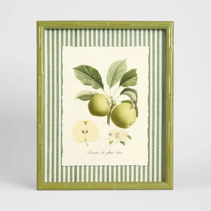 Apple Study Wall Art A H42.0cm · W34.0cm · D2.5cm