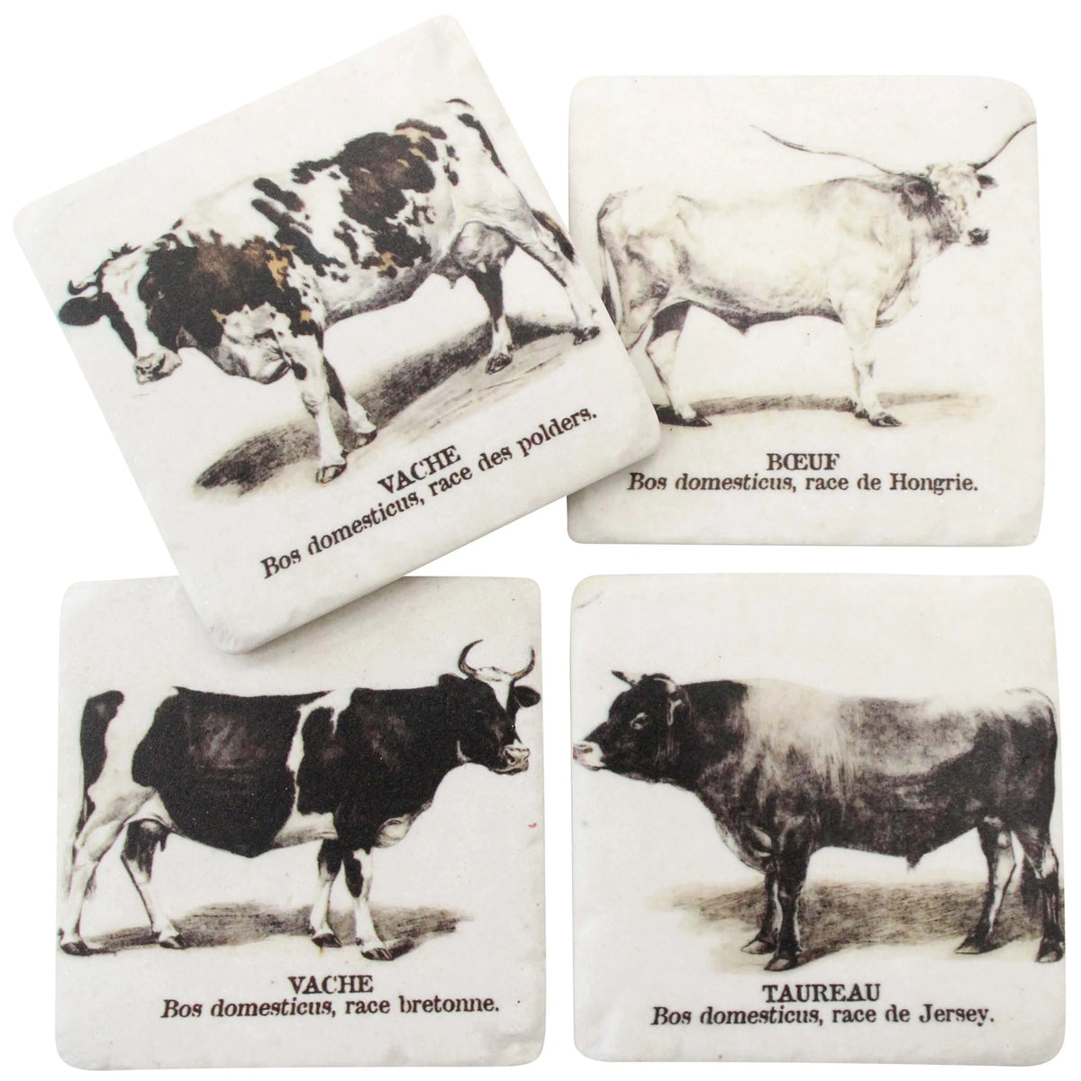 Coasters Cows Set/4